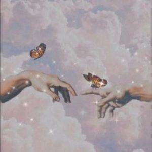 Meet your Posher, Bella